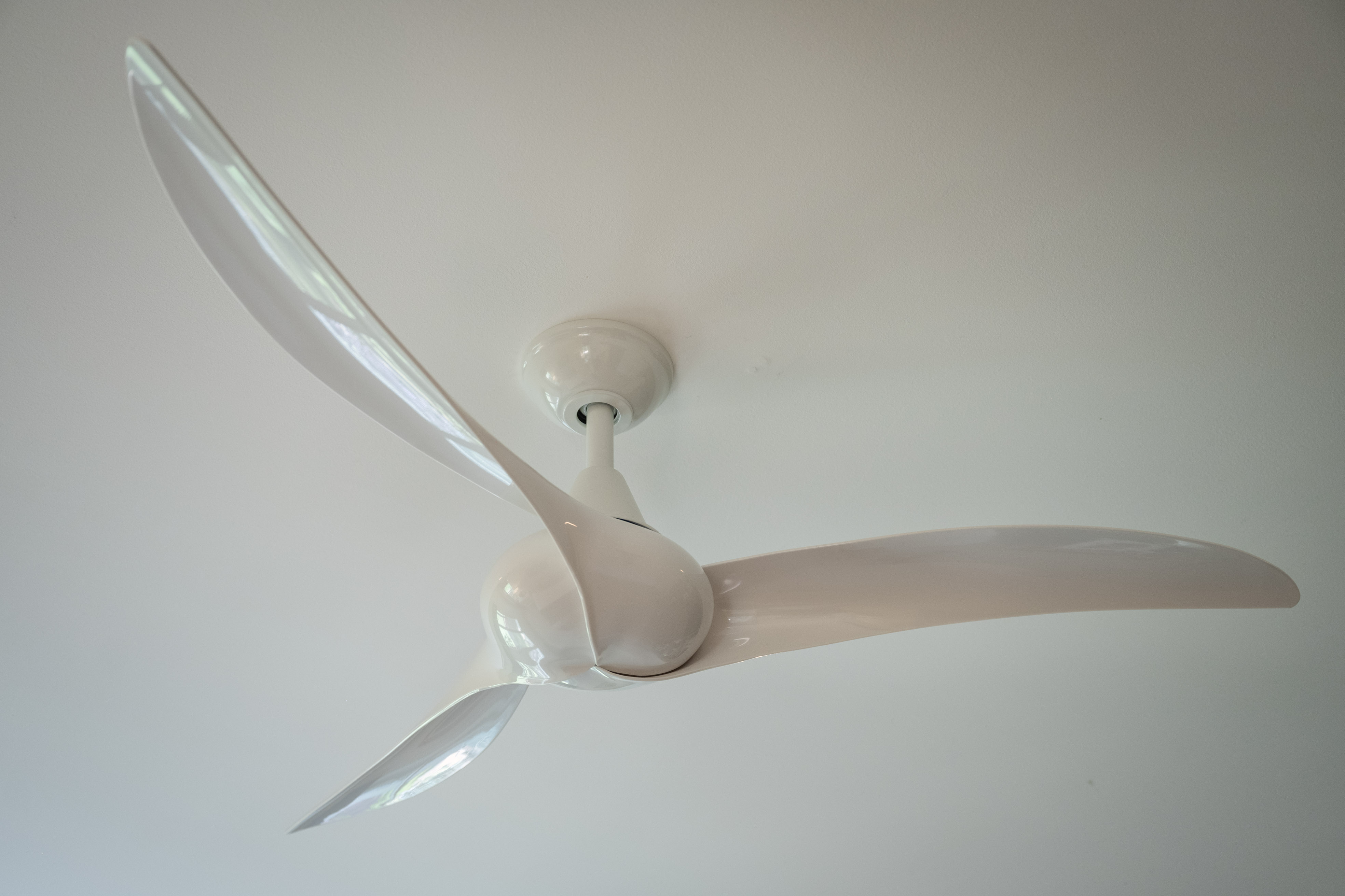 2071 Fleming's Knoll image 17